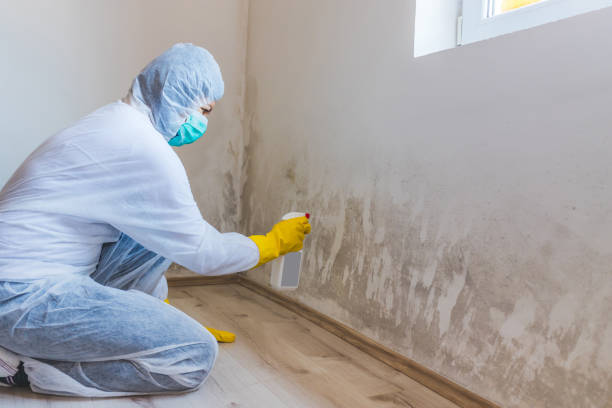Mold Remediation specialist working in Sherwood