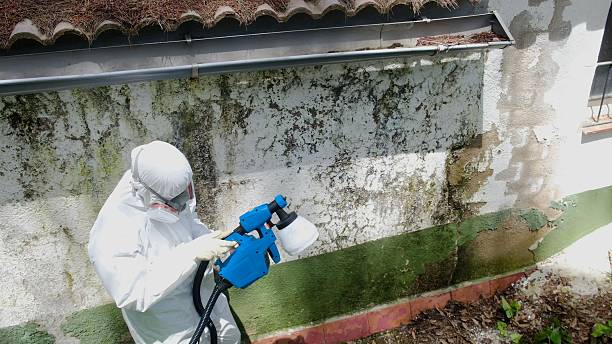 Mold Removal service in Sherwood